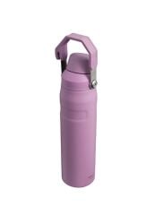 IceFlow™ Fast Flow Soğuk Su Termosu | 0.6L Lila