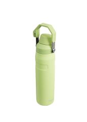 IceFlow™ Fast Flow Soğuk Su Termosu | 0.6L Yeşil